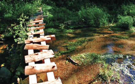 A wood ladder over a creek